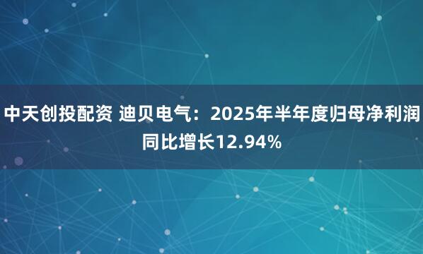 中天创投配资 迪贝电气：2025年半年度归母净利润同比增长12.94%