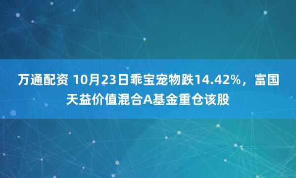 万通配资 10月23日乖宝宠物跌14.42%，富国天益价值混合A基金重仓该股
