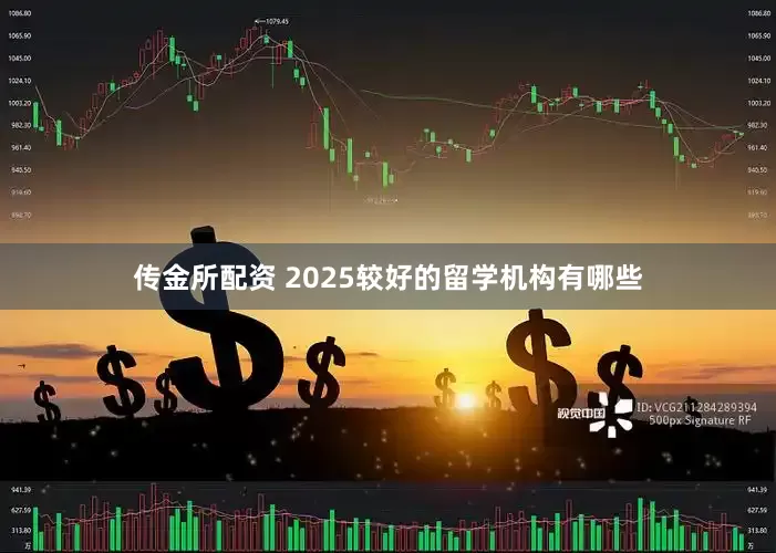 传金所配资 2025较好的留学机构有哪些