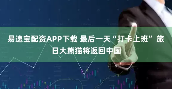 易速宝配资APP下载 最后一天“打卡上班” 旅日大熊猫将返回中国