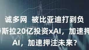 诚多网  被比亚迪打到负增长，特斯拉20亿投资xAI，加速押注未来？